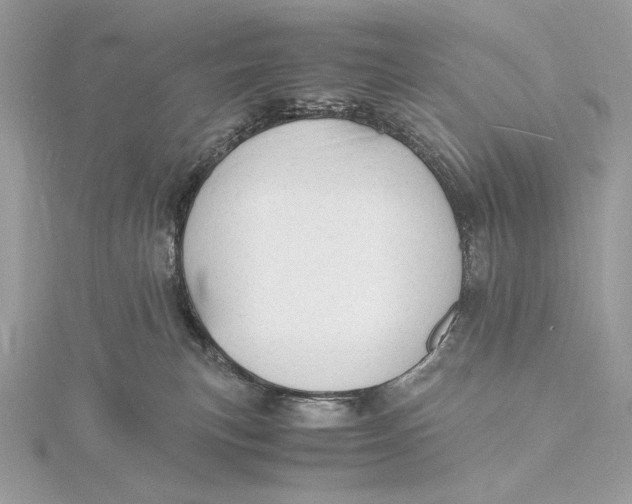 X0000115840183200912041716