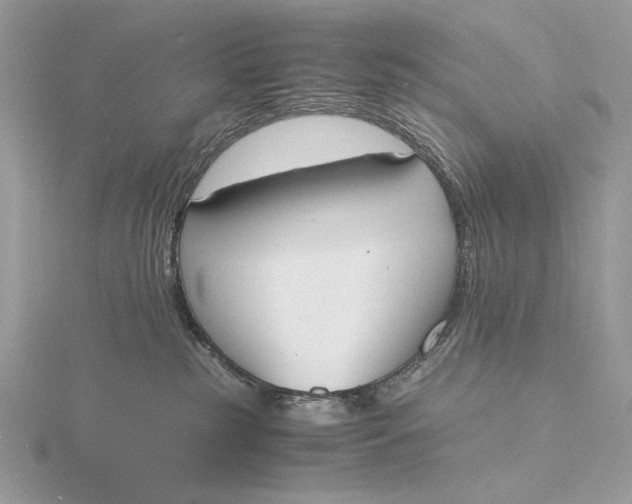 X0000115840185200912041716