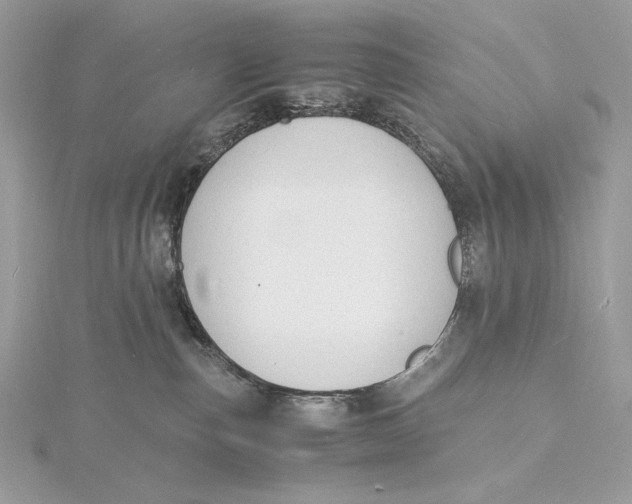 X0000115840187200912041716