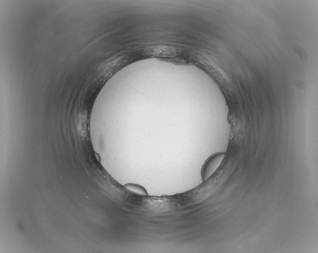 X0000115840189200912041716