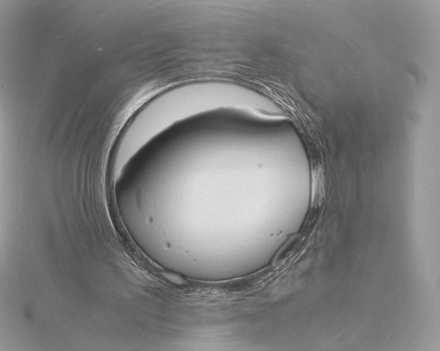 X0000115840195200912041715