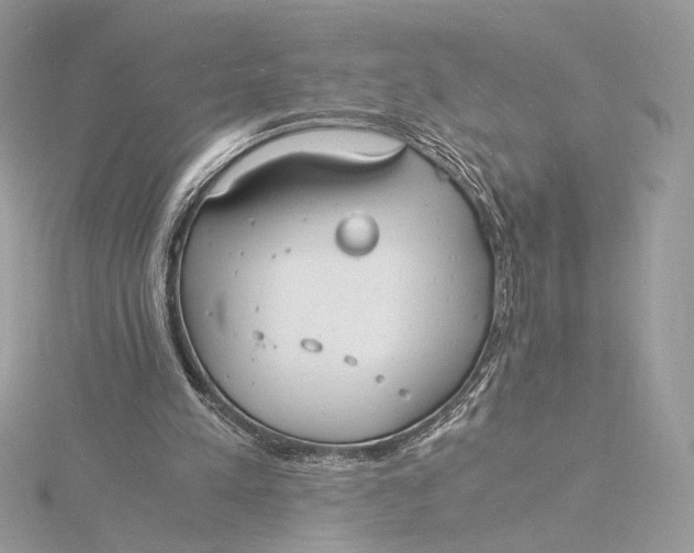 X0000115840197200912041715