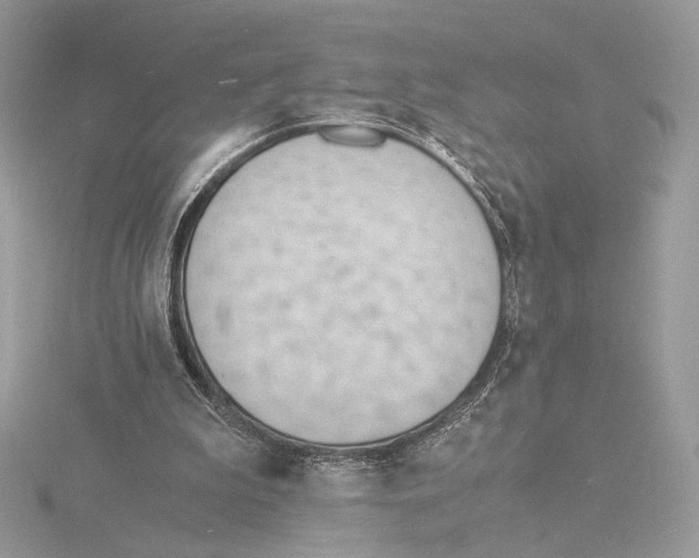 X0000115840199200912041715