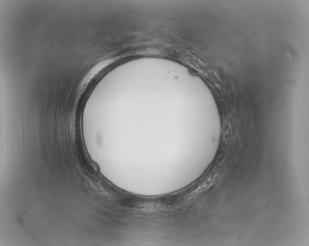 X0000115840200200912041715