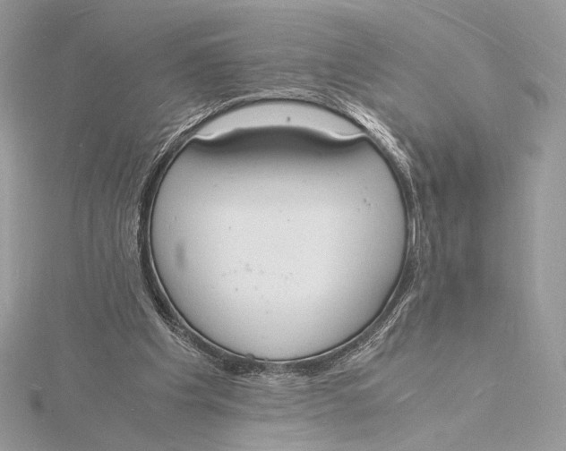 X0000115840201200912041715