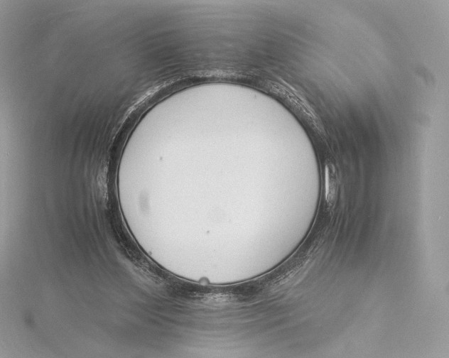 X0000115840204200912041715