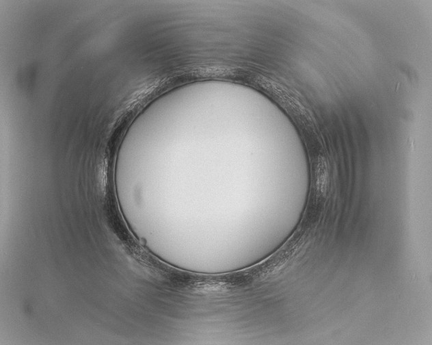 X0000115840206200912041715