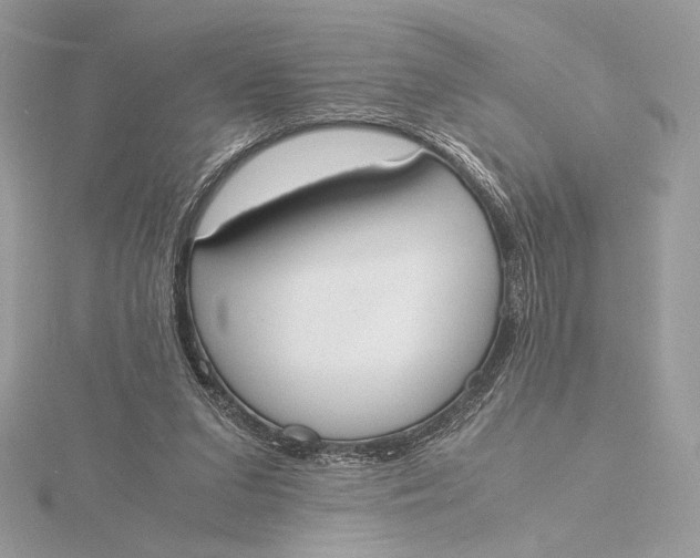 X0000115840207200912041715