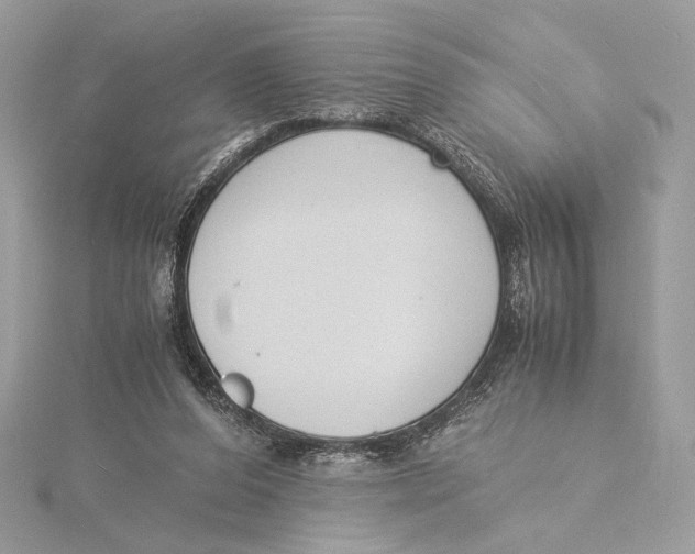 X0000115840208200912041715