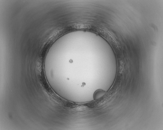 X0000115840210200912041715