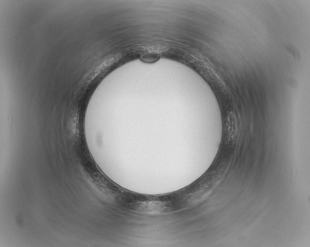 X0000115840212200912041715