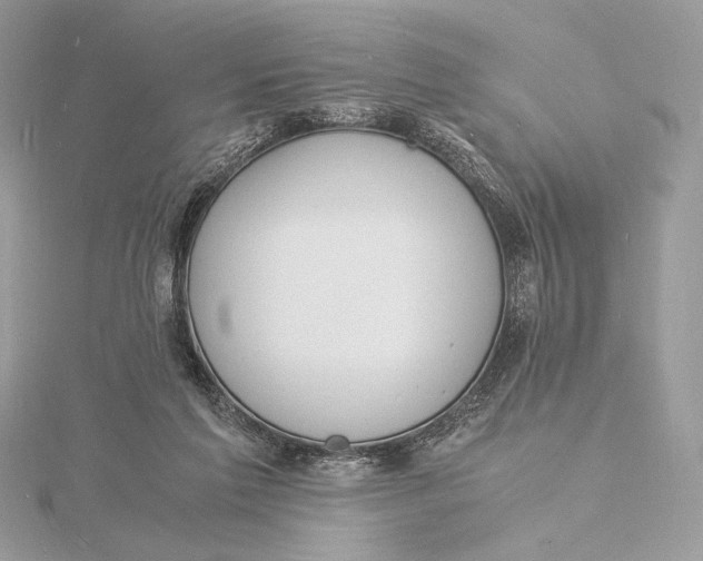 X0000115840213200912041715