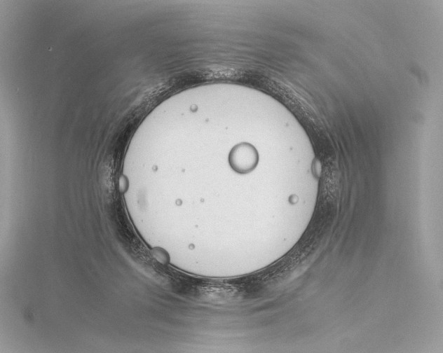 X0000115840215200912041715