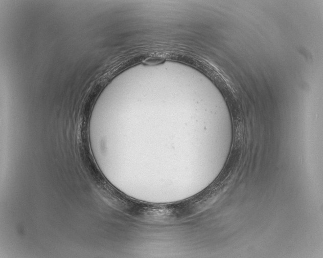 X0000115840217200912041715