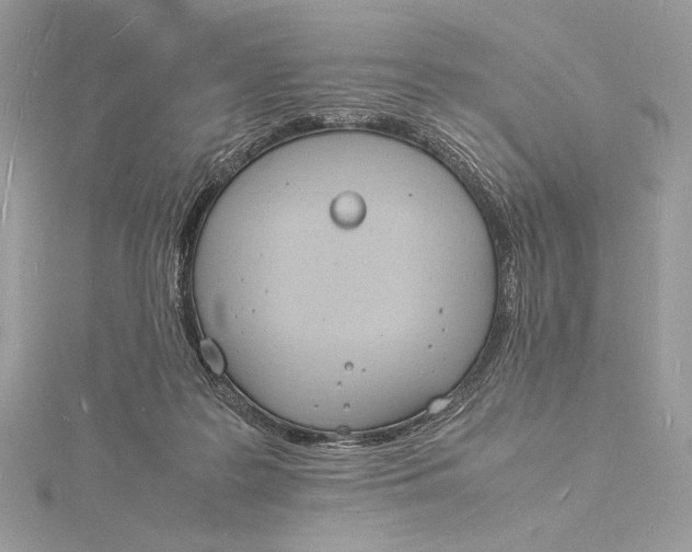 X0000115840219200912041715