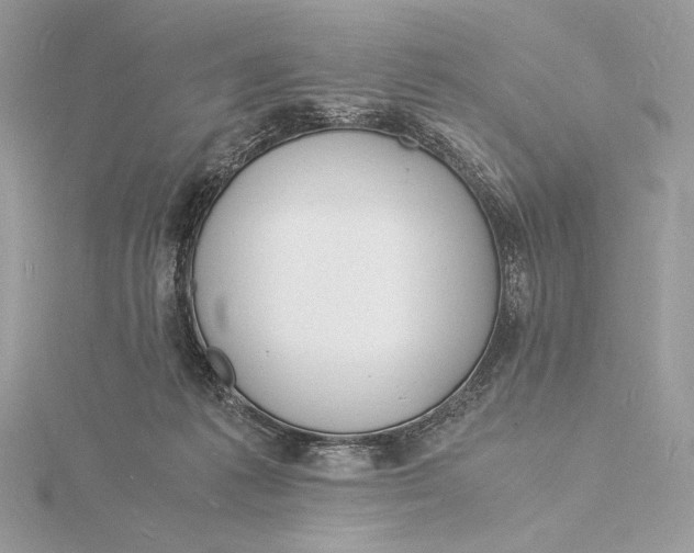 X0000115840221200912041715