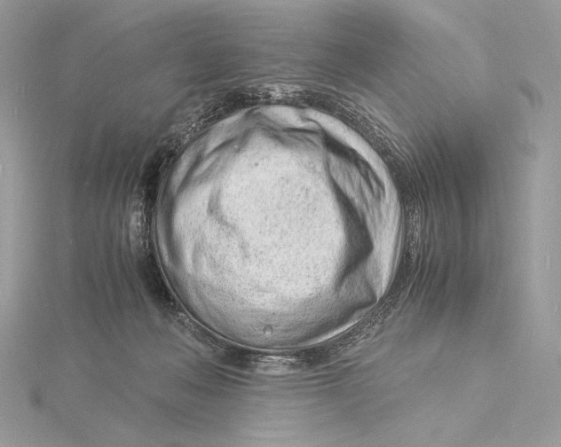 X0000115840222200912041715