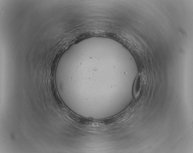 X0000115840223200912041715