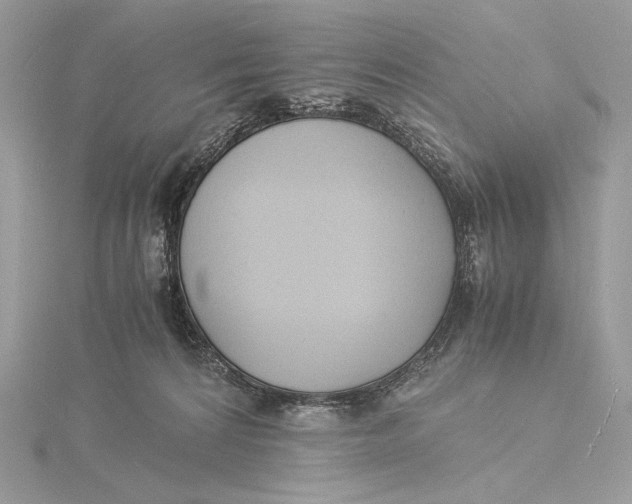 X0000115840224200912041715