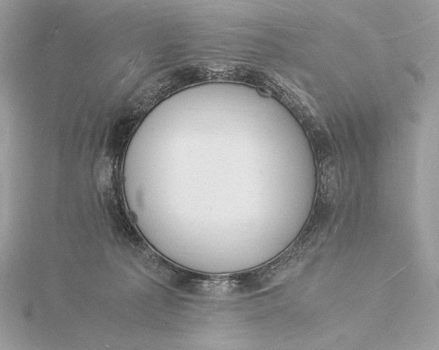 X0000115840225200912041715