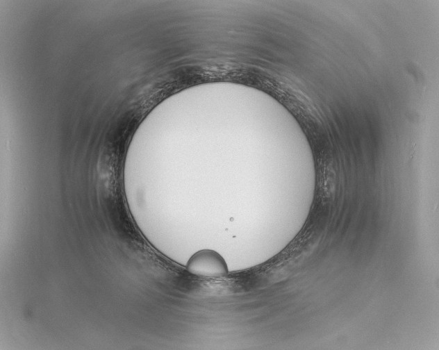 X0000115840226200912041715