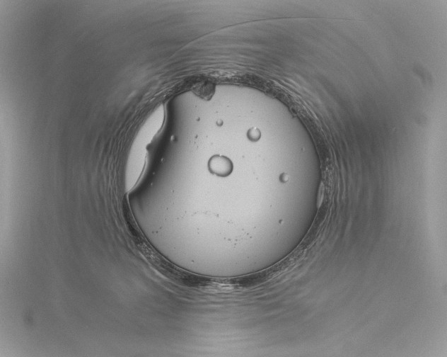 X0000115840227200912041715