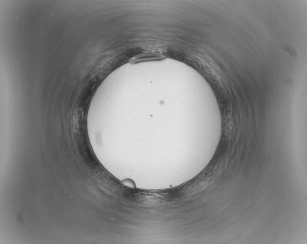 X0000115840229200912041715