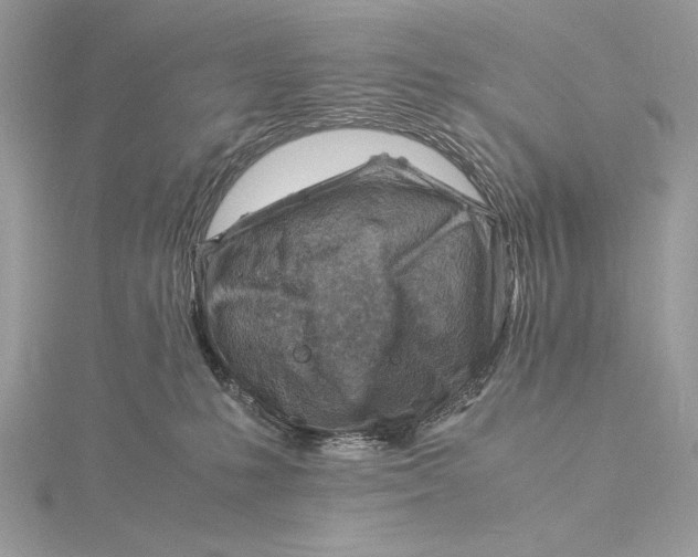 X0000115840231200912041715