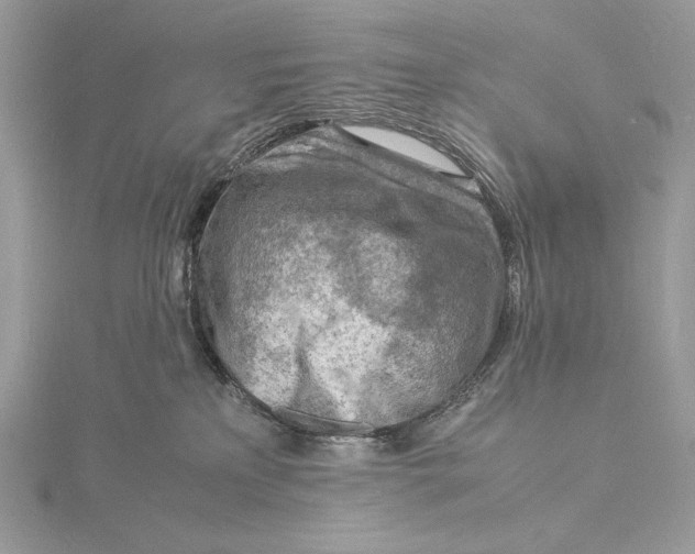 X0000115840233200912041715