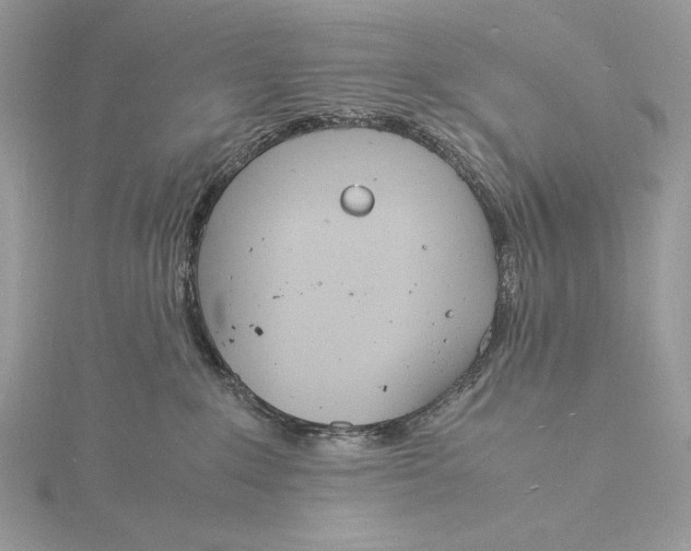 X0000115840235200912041715