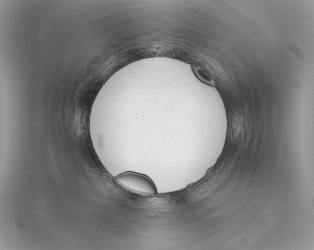 X0000115840236200912041715