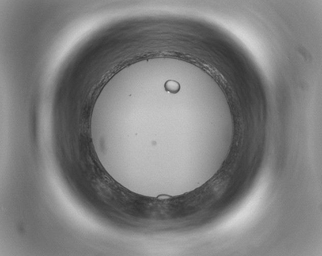 X0000115840239200912041714