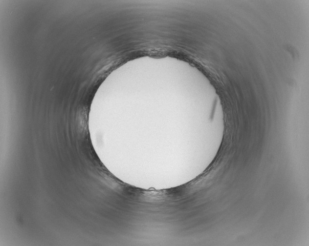 X0000115840240200912041714