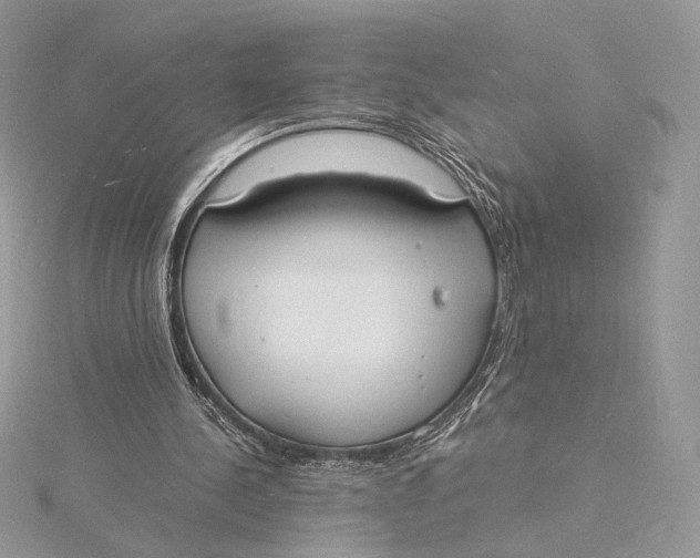 X0000115840244200912041714