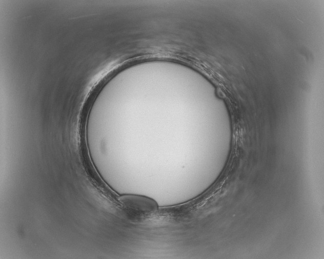 X0000115840248200912041714