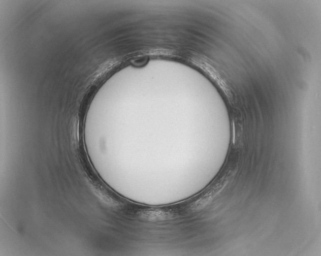 X0000115840253200912041714