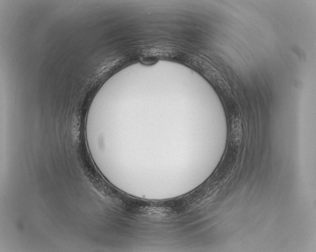 X0000115840255200912041714