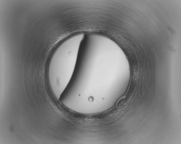 X0000115840256200912041714