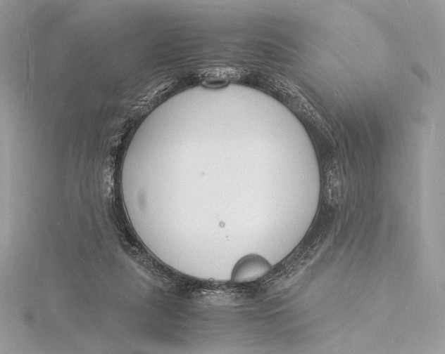 X0000115840259200912041714