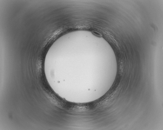 X0000115840260200912041714