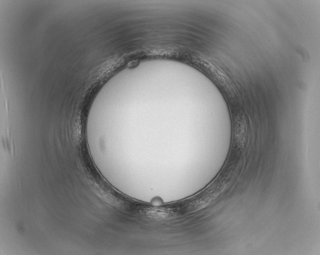 X0000115840261200912041714