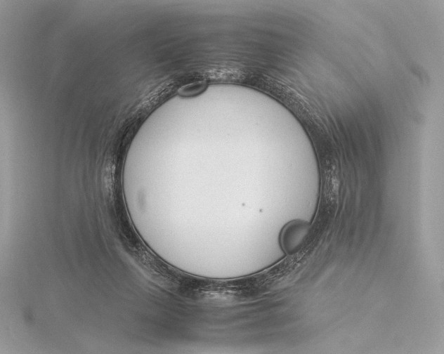 X0000115840263200912041714