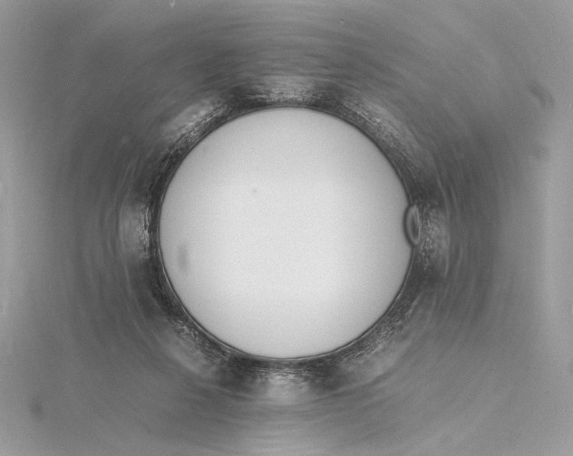 X0000115840264200912041714