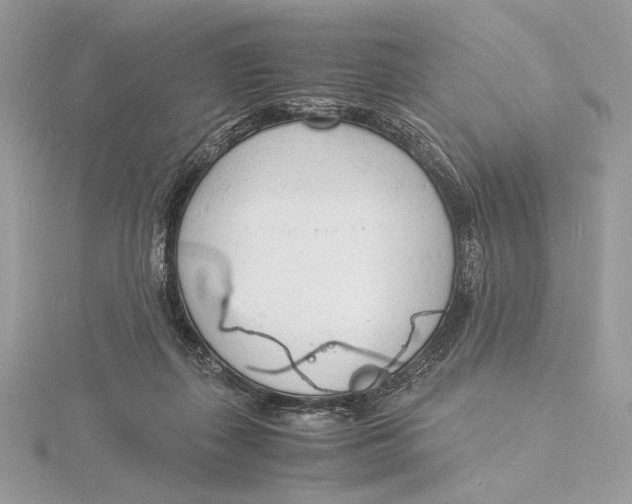 X0000115840267200912041714