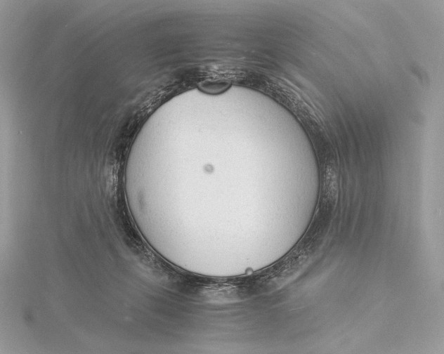 X0000115840271200912041714