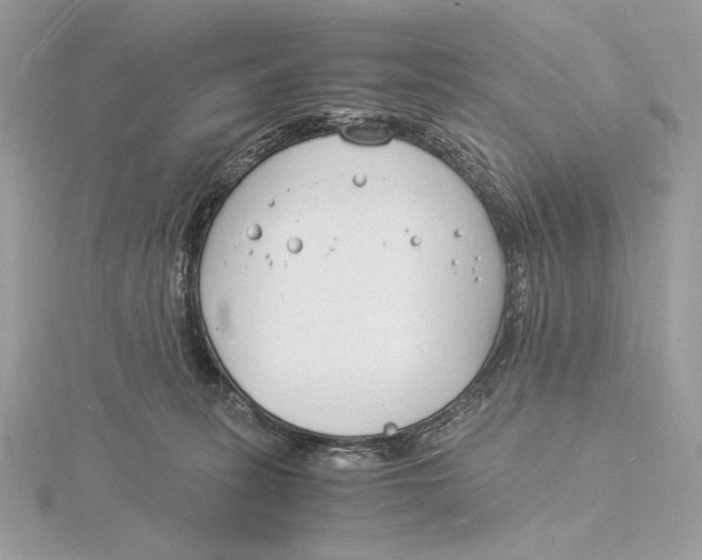 X0000115840275200912041714