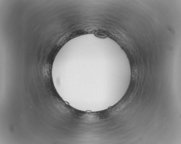 X0000115840280200912041714