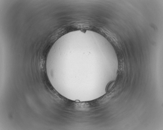 X0000115840281200912041714