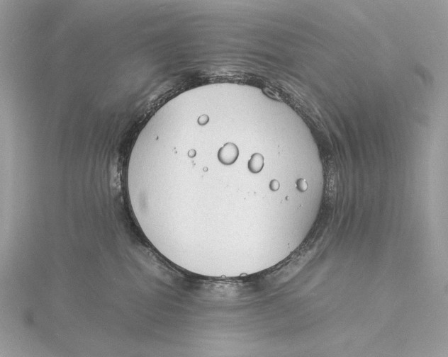 X0000115840282200912041714