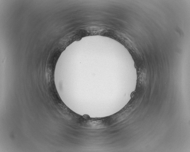 X0000115840283200912041714